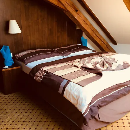 Hotel U Cerneho Orla