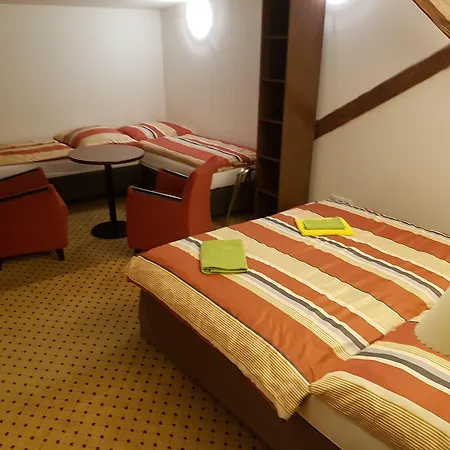 Hotel U Cerneho Orla 3*