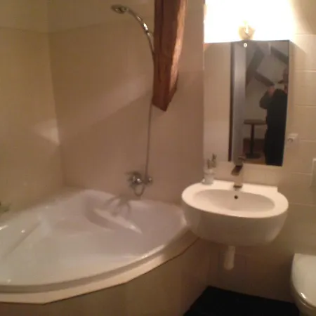 Hotel U Cerneho Orla 3*